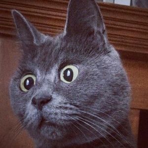 Meet your Posher, Edison